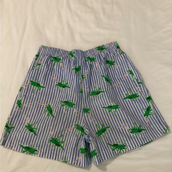 Catherine Rebecca vtg grasshopper short set - Picture 5 of 8